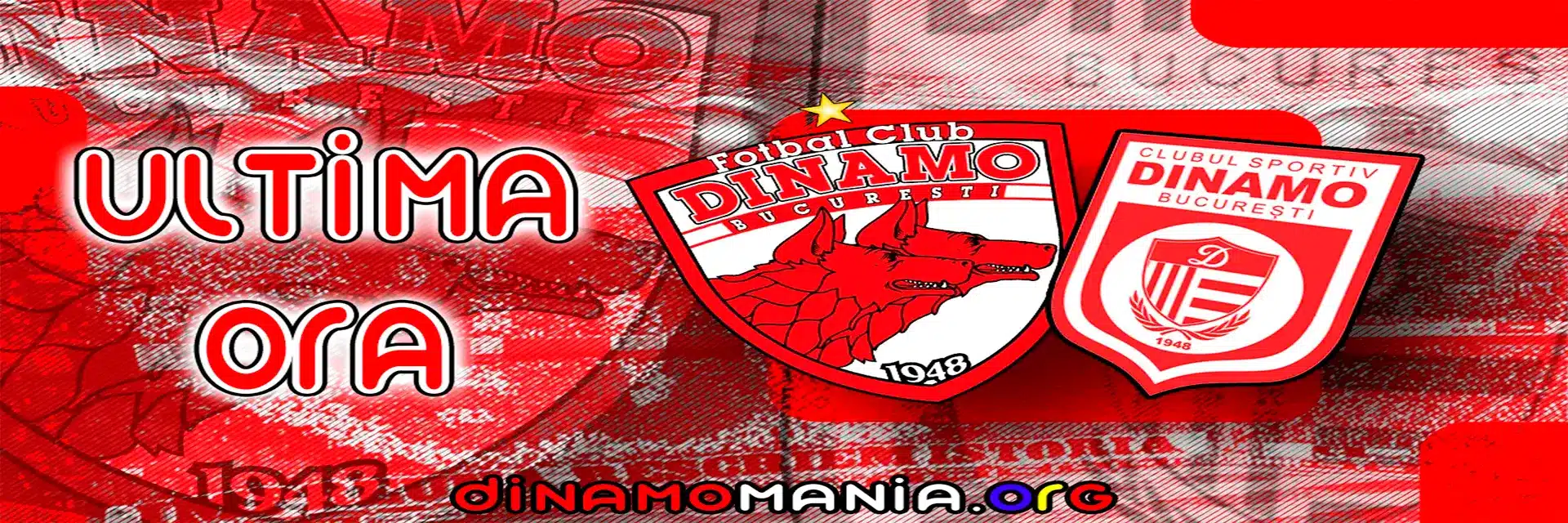 DinamoMania.org logo